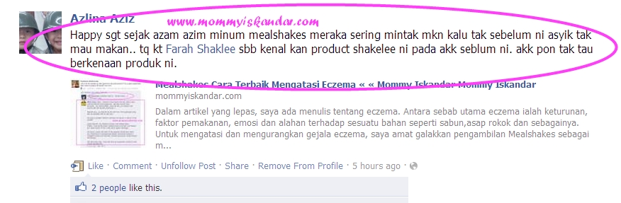 mealshakes kak azlina