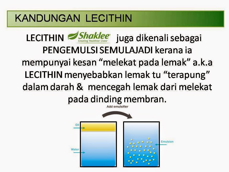 emulsi-lemak